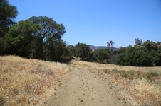 Enlarge photo 39