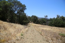 Enlarge photo 40