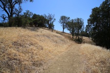 Enlarge photo 42