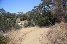 Enlarge photo 43
