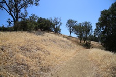 Enlarge photo 44