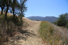 Enlarge photo 45