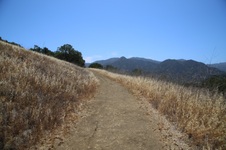 Enlarge photo 47