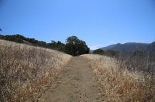 Enlarge photo 48