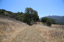 Enlarge photo 49
