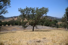 Enlarge photo 50
