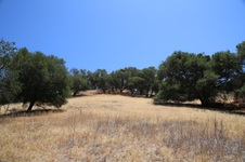 Enlarge photo 52