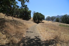 Enlarge photo 53