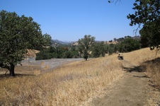Enlarge photo 54