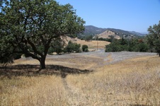 Enlarge photo 55