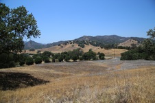 Enlarge photo 59