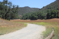Enlarge photo 11