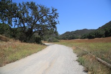 Enlarge photo 12