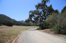 Enlarge photo 14