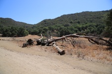 Enlarge photo 25