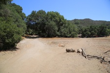 Enlarge photo 28