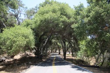 Tapia State Park