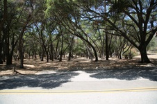 Enlarge photo 8