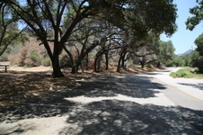 Enlarge photo 11