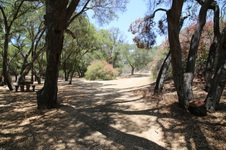 Enlarge photo 12