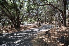 Enlarge photo 14