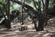 Enlarge photo 16
