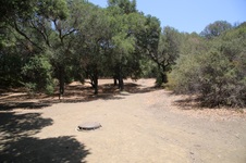 Enlarge photo 27