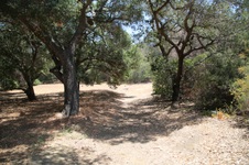Enlarge photo 28