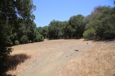 Enlarge photo 29