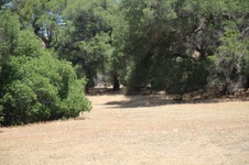 Enlarge photo 30