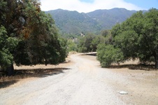 Enlarge photo 37