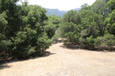 Enlarge photo 43