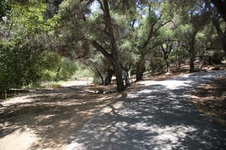 Enlarge photo 47