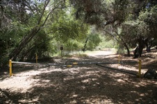 Enlarge photo 48