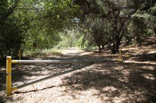 Enlarge photo 49