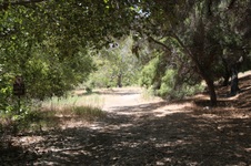 Enlarge photo 50