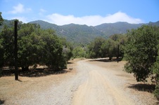 Enlarge photo 52