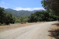 Enlarge photo 55
