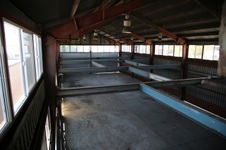 Enlarge photo 62