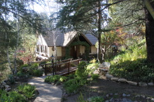 Enlarge photo 4