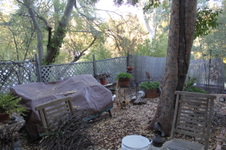 Enlarge photo 26
