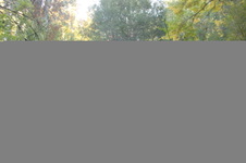 Enlarge photo 53