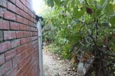 Enlarge photo 30
