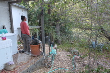 Enlarge photo 36