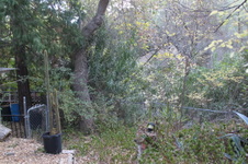 Enlarge photo 38