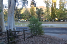 Enlarge photo 51