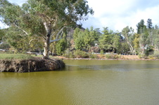Enlarge photo 17