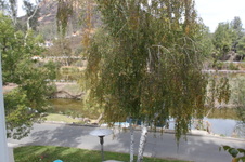 Enlarge photo 29