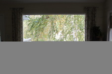 Enlarge photo 49