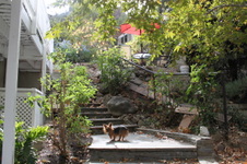 Enlarge photo 73